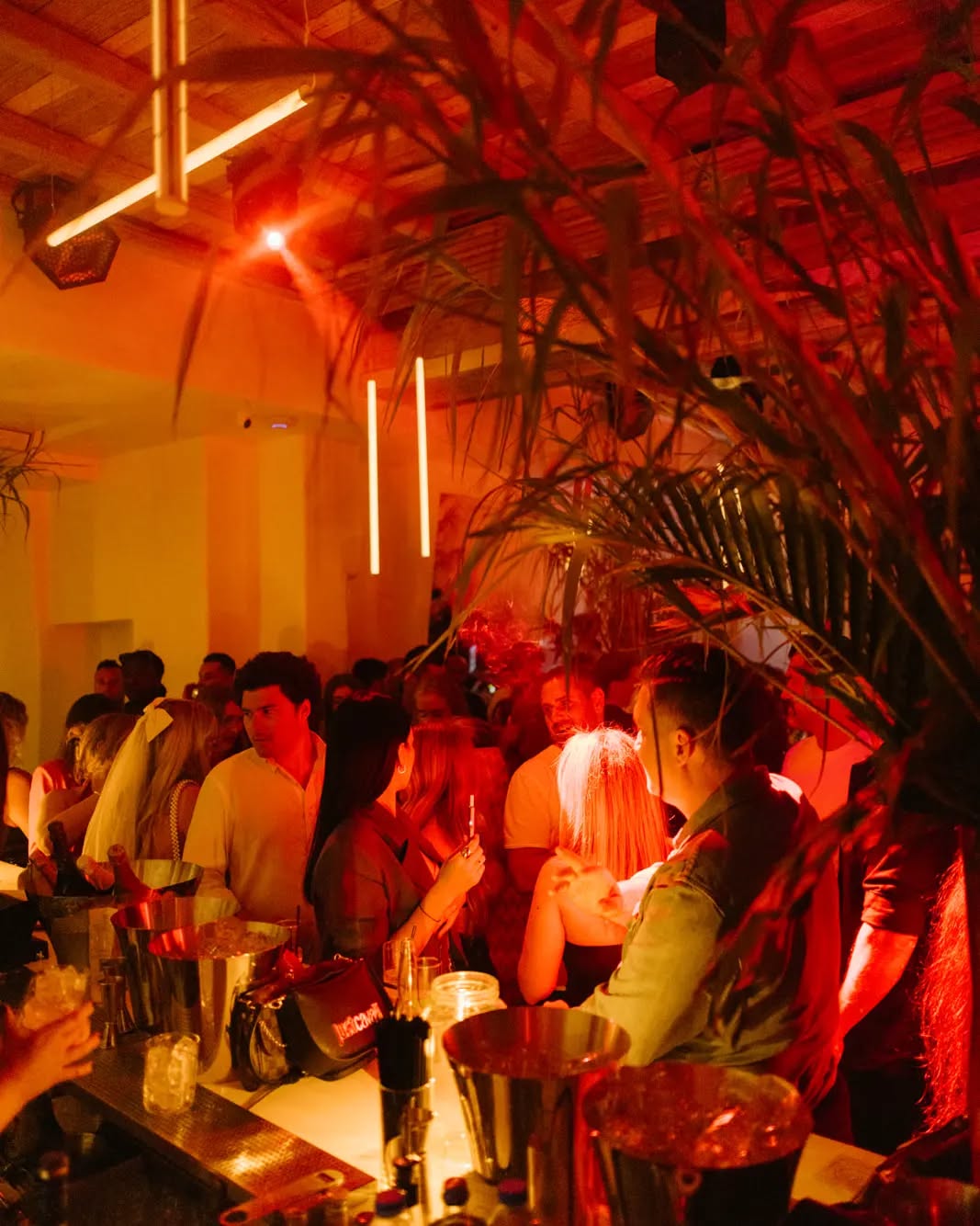 Image for Bars & Nightlife